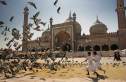 Freitagsmoschee Delhi Indien Kinder jagen Tauben